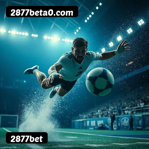 Níveis do programa VIP da 2877bet
